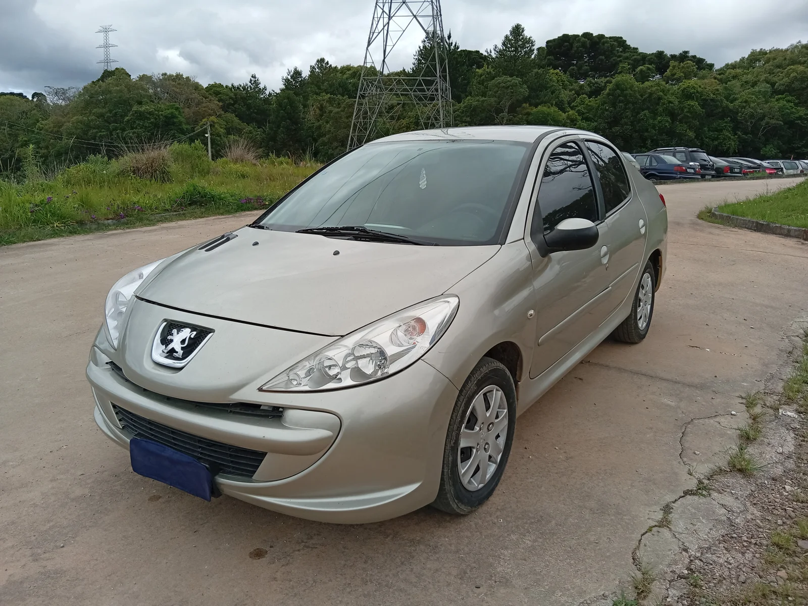 PEUGEOT - 207 PASSION XR 1.4 ANO 2012 / 2013