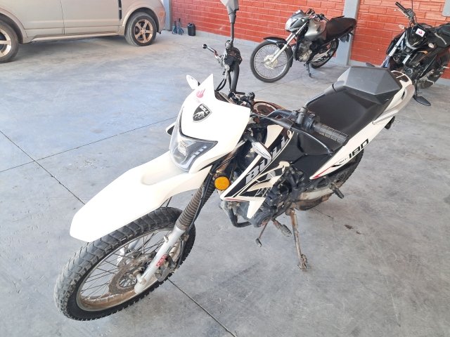 BASHAN BULL BM-T 180 2024/2025